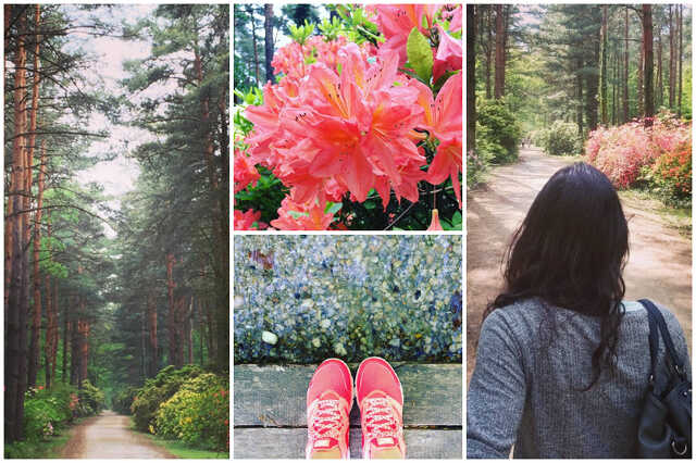 Instagram Jeli Arborétum / Ne használd