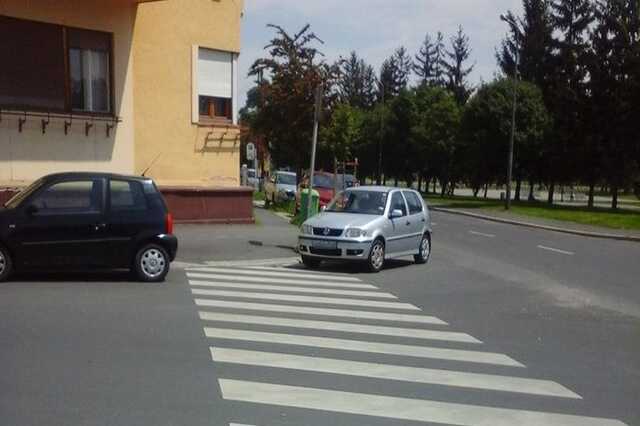 kép