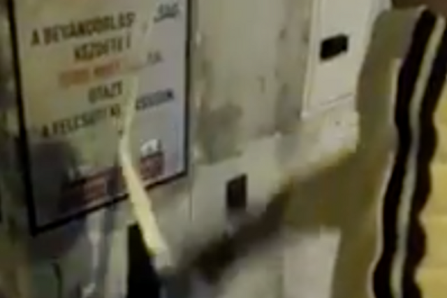 Plakátot tépnek