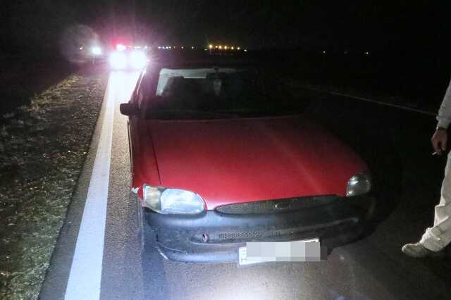 Vaddisznót ütöttek el Magyarszecsődnél a 8-as úton