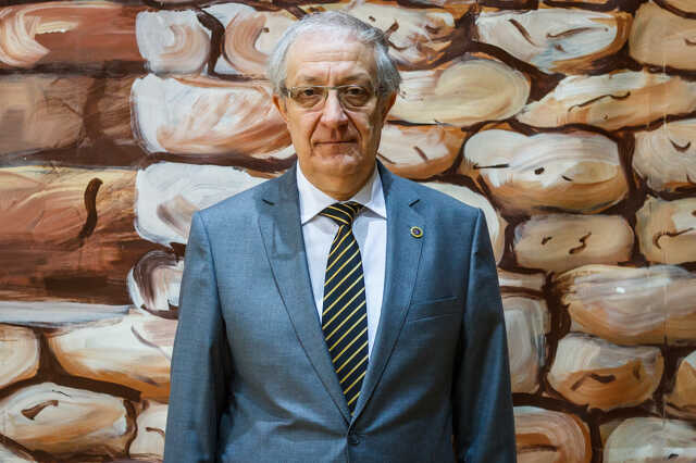 Gráczer György, ügyvezető