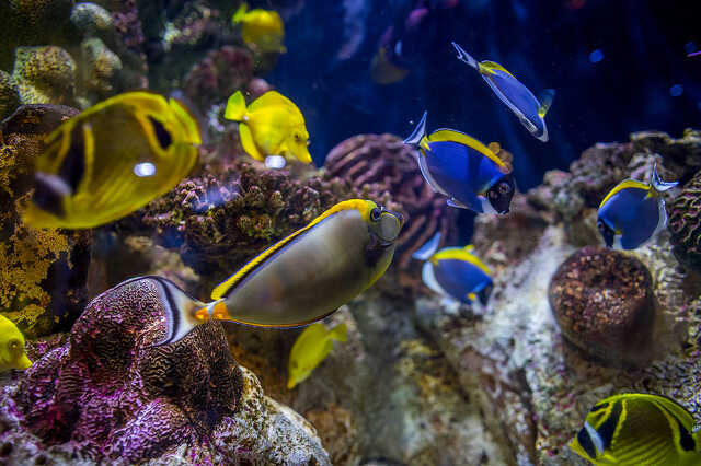 Adventure Aquarium - Philadelphia