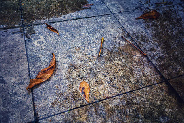 November