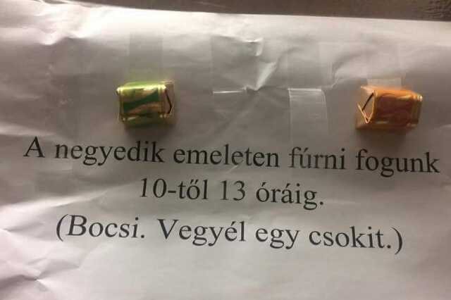 Hogyan ne menjünk a lakótársaink agyára