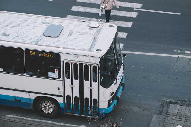 Busz