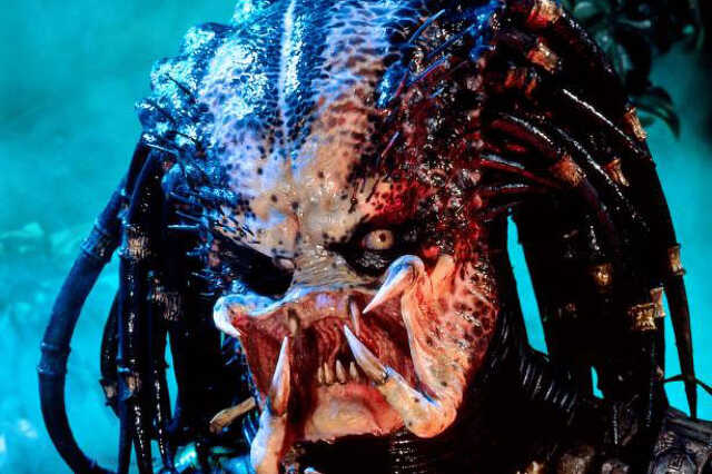 Predator