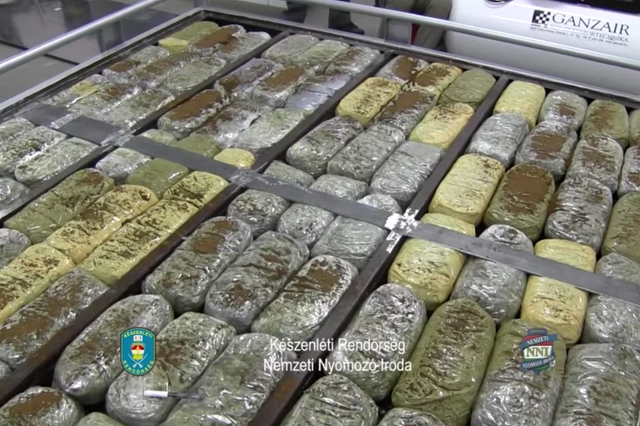 62 kiló marihuánát találtak