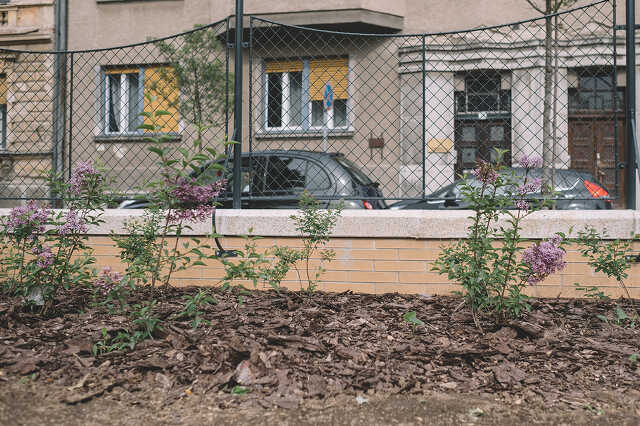 Savaria Múzeum park