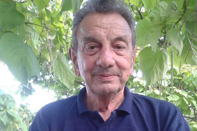 Tolnay Lajos