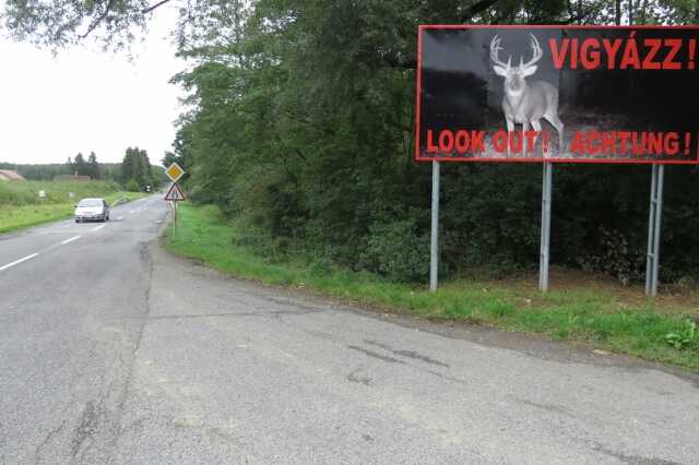Szarvasos gigaposzter Zala megyében
