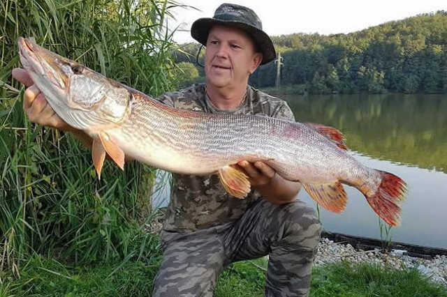 Giga csuka