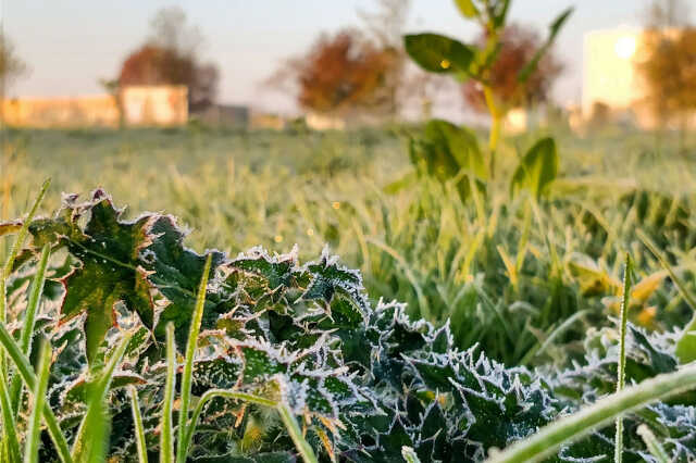 Ősz Szombathelyen