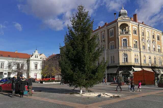Karácsonyfa a Fő téren