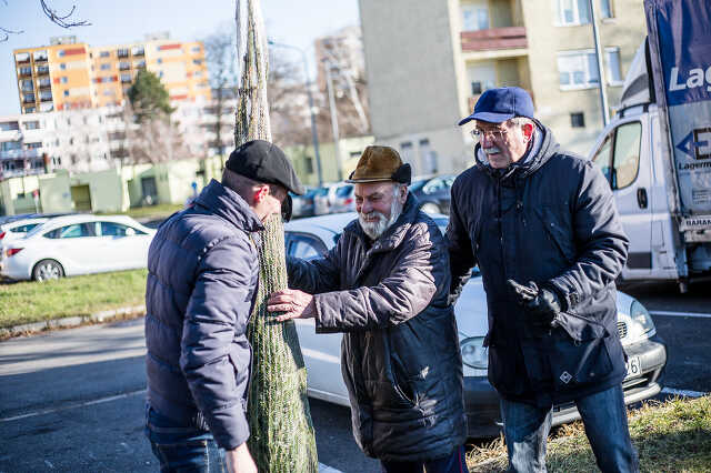 Karácsonyfát osztottak a balodali képviselők