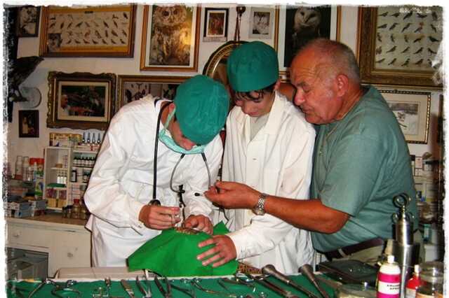 Kámán István, a kőszegi madárdoktor 