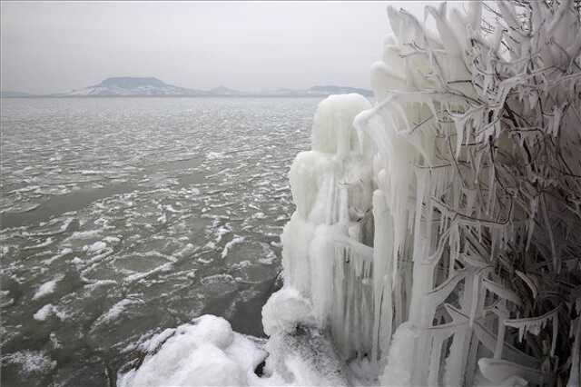 Jégcsapok egy bokor ágain a fonyódi Balaton-parton