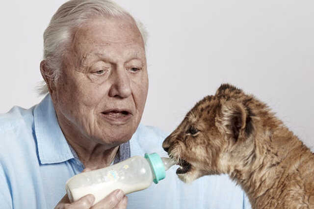 David Attenborough