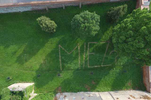Mi ez? 