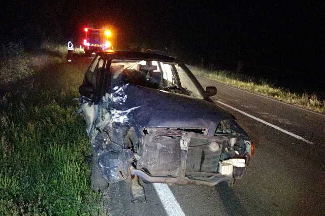 Szarvas okozott balesetet éjszaka a 8-as úton
