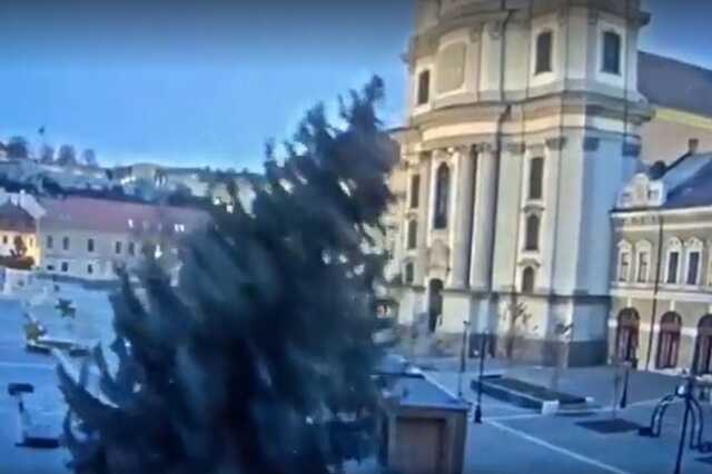 Kidöntötte a szél Eger karácsonyfáját