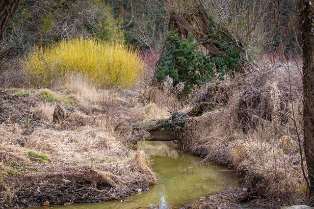 Arborétum tavasz 2019