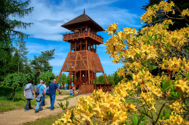 Lombkorona sétány a Jeli arborétumban