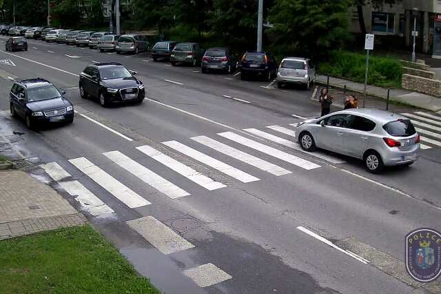 Zebra terv