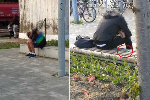 Herbálozó fiatalok Sárváron