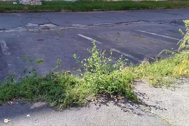 Kizöldült a parkoló a Bem József utcában