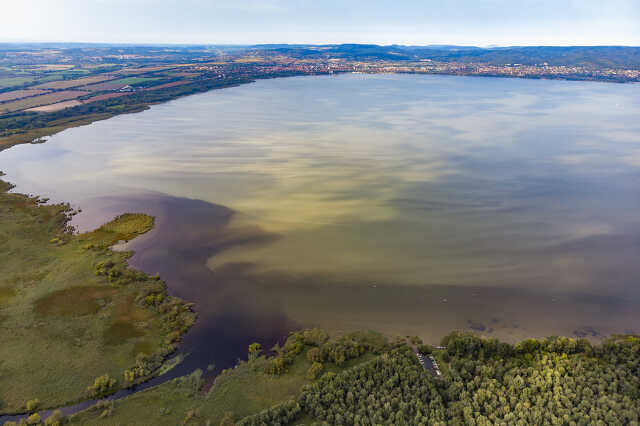 Algásodó Balaton