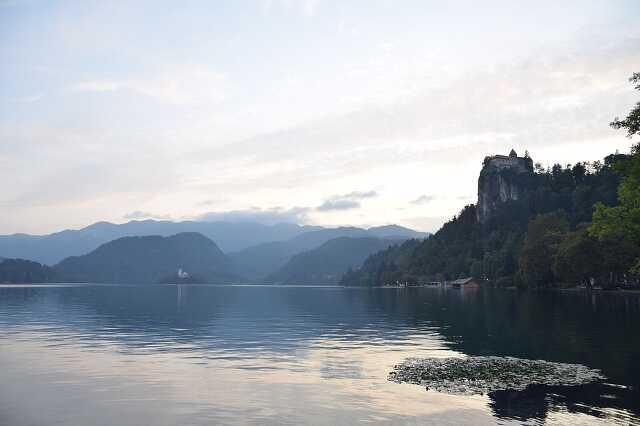Bled