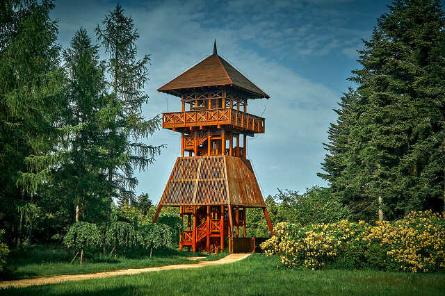 Megnyílt a jeli arborétum