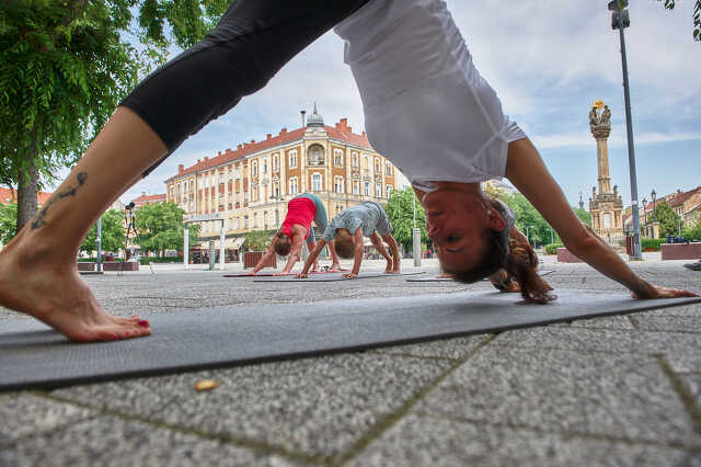 Napüdvözlő jóga flashmob
