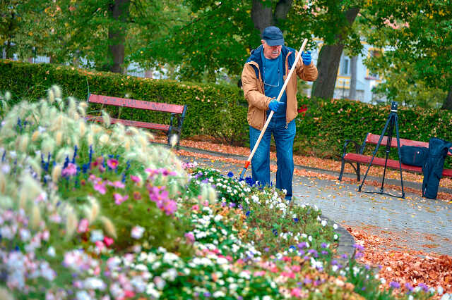 Fogadj örökbe egy parkot-Szent István park