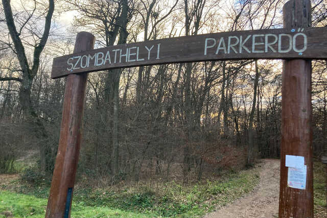 Karácsonyi üdvözlet a parkerdőben