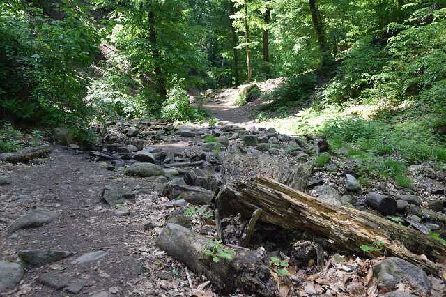 Rám-szakadés, erdő, túrázás