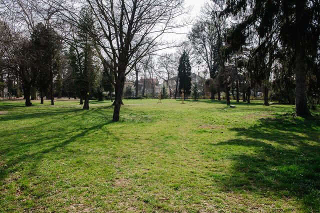 Napsütés a Kresz parkban