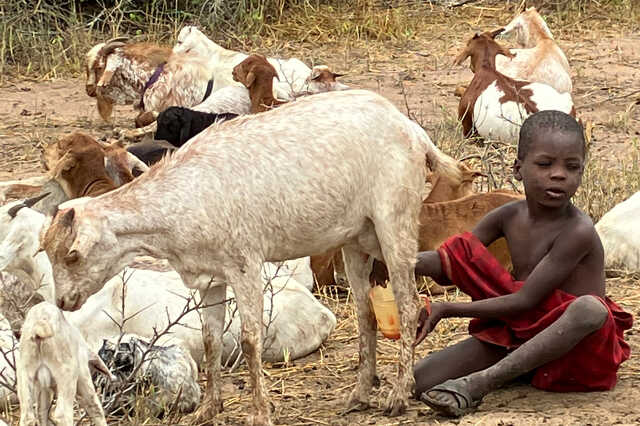 Afrika