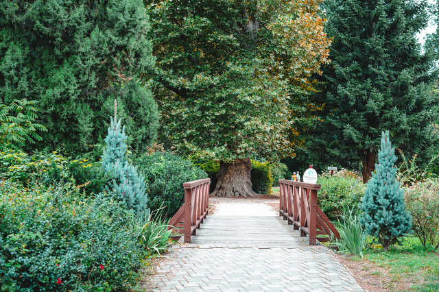 Beköszöntött az ősz a kámoni arborétumban