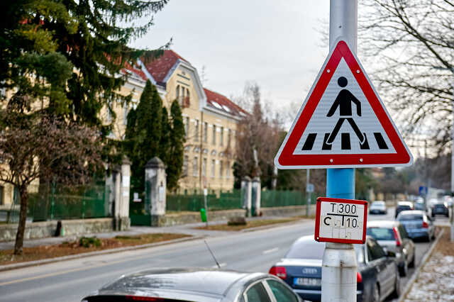 zebra a szombathelyi PTE előtt