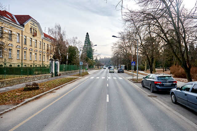 zebra a szombathelyi PTE előtt