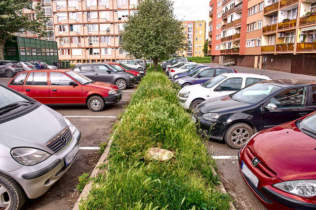 kivágott fák Jászai Mari utca parkoló