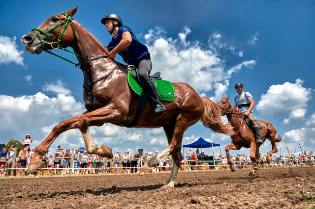 Nemzeti vágta Szemenye, lóverseny