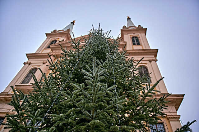 Székesegyház karácsonyi díszítés