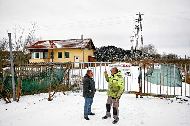Nagykölked gumitelep