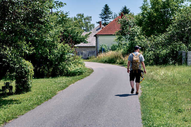 Tompaládony faluriport