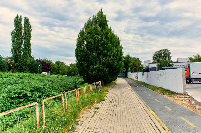 Betonfal graffity a perint parti sétányon