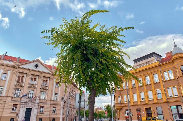 10 részlet Szombathelyen