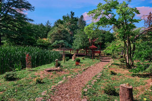 Kámoni arborétum a hőkupola után