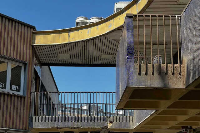 Domus